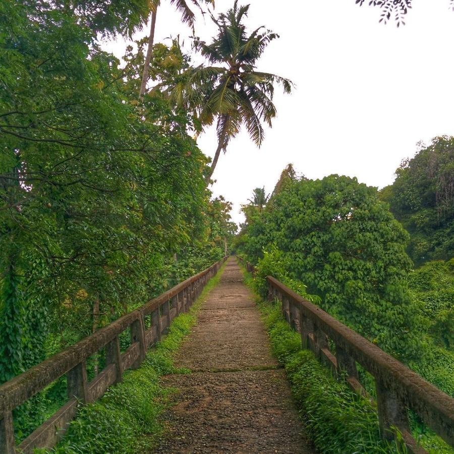 Back Packers Cochin Villa Kochi Esterno foto